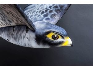 EdmontonAllIn's tweet photo. Did You Know? @FlyEIA is the first airport in the world to have a Robird drone! The Robird is a falcon shaped drone that scares away birds posing a danger to aircrafts by imitating flight patterns of live birds. https://t.co/SMrBKL9CYy #EdmontonAllIn https://t.co/jvjCieqgPR