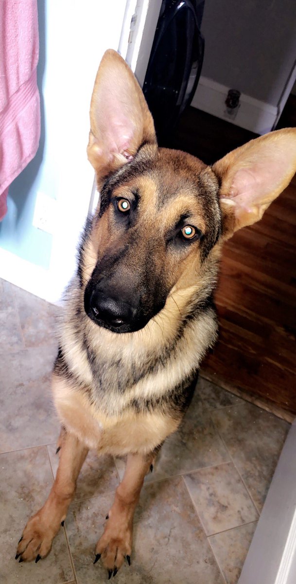 kC (@kayy_cali) on Twitter photo 