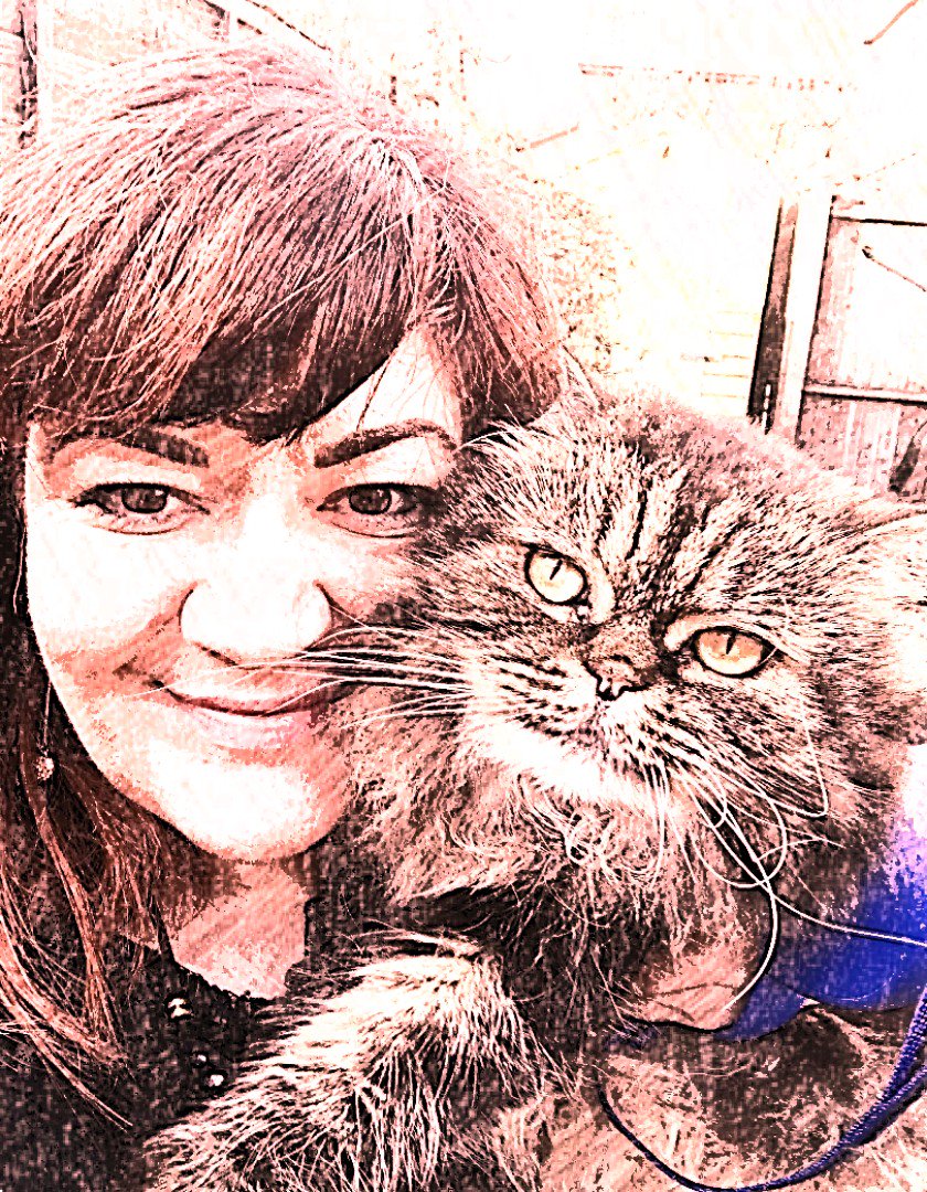 filzballjaeger's tweet photo. @fluffybasil Glad you like it! Mum made three for your #basbday, this is the final one: https://t.co/U4xlPg8omW
