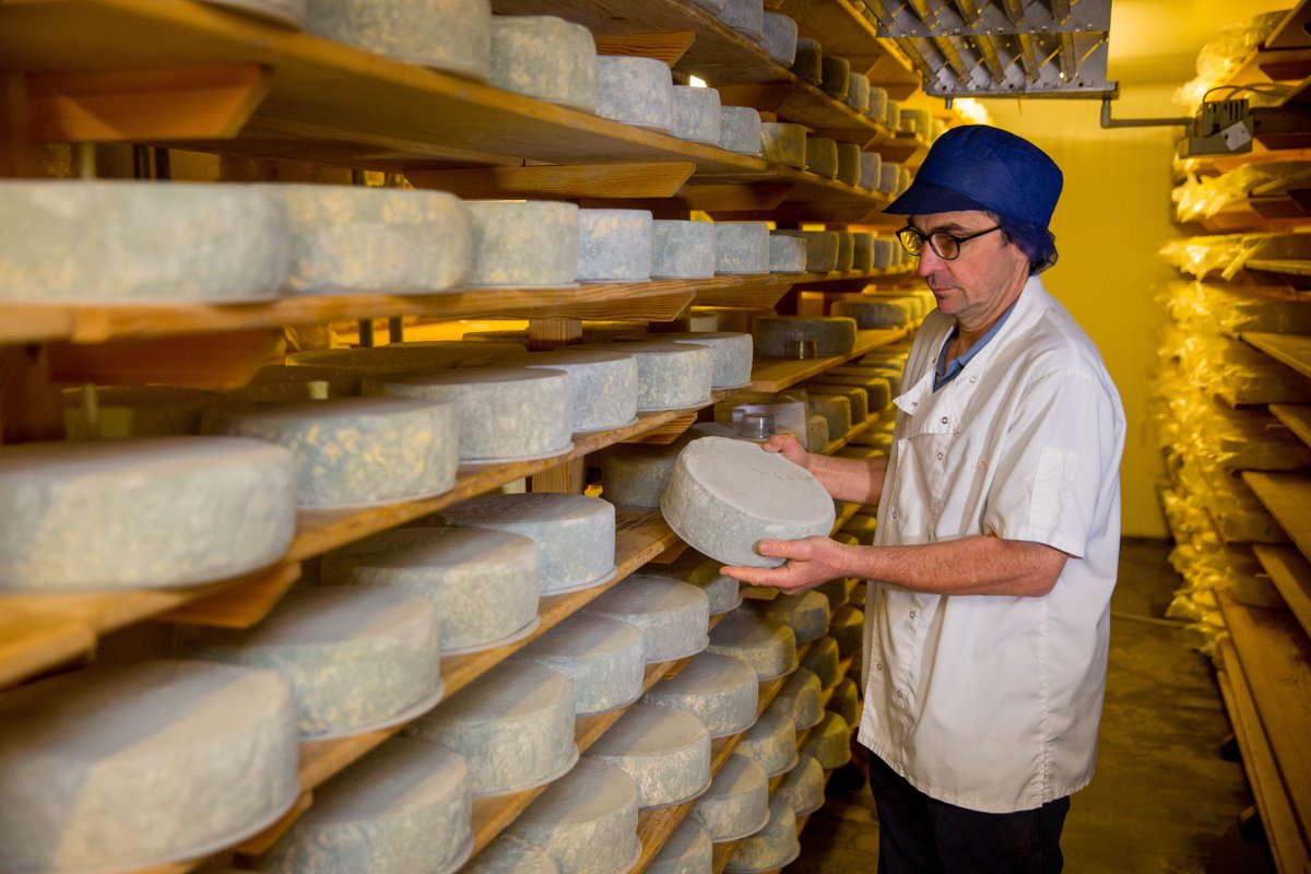 BritCheeseAward's tweet photo. Awards countdown: #cheesemakerday @HighWealdDairy The cheese maturing room #BCA18 https://t.co/K1v87lDChh