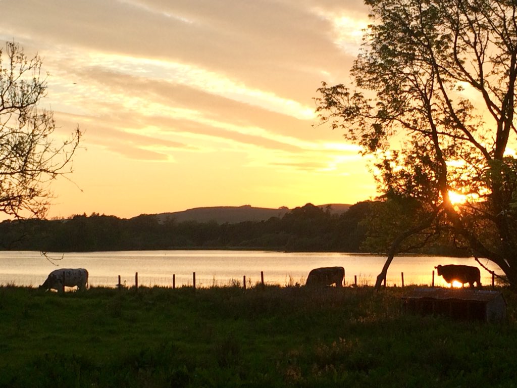 finnbarrotty's tweet photo. Lovely sunset.@Scottish WildlifeTrust #Balgavies loch https://t.co/2POKgJ4sjn