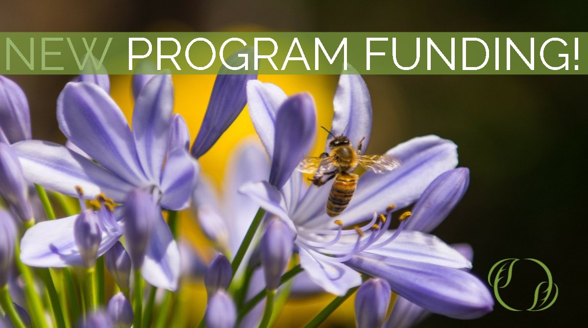 IAFBC's tweet image. JUST ANNOUNCED: Bee BC Program! Up to $100K in funding over 2yrs to support small scale projects to research, explore, field-test &amp;amp; share info about best practices for bee health. #BCag #IAFdelivers More info: ow.ly/HIkO30keXdx