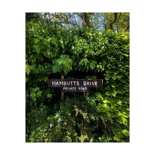 LesieleJuliet's tweet image. 🚫🚫🚫
#privateroad #sofancy #painswick #thecotswolds