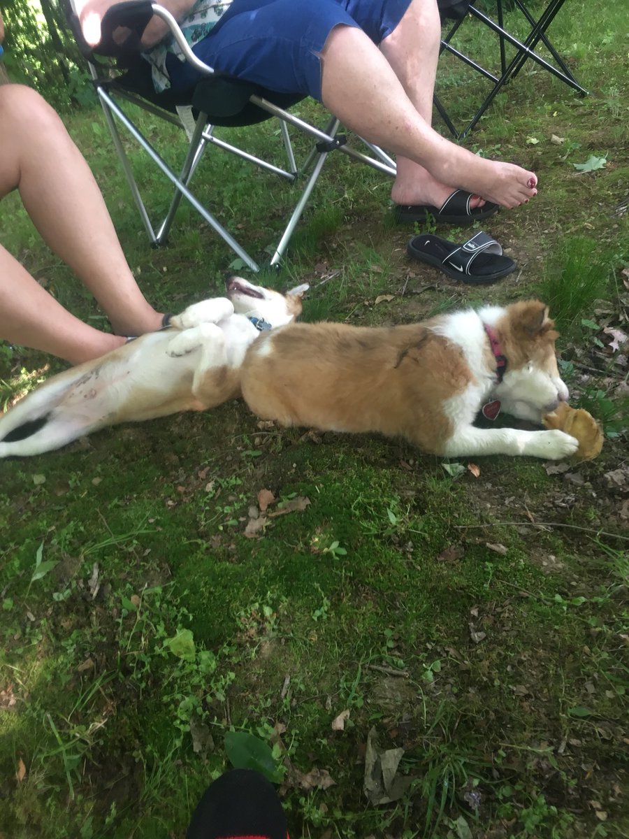 AdogBb's tweet photo. Annie’s turn https://t.co/mdH64eD2q8