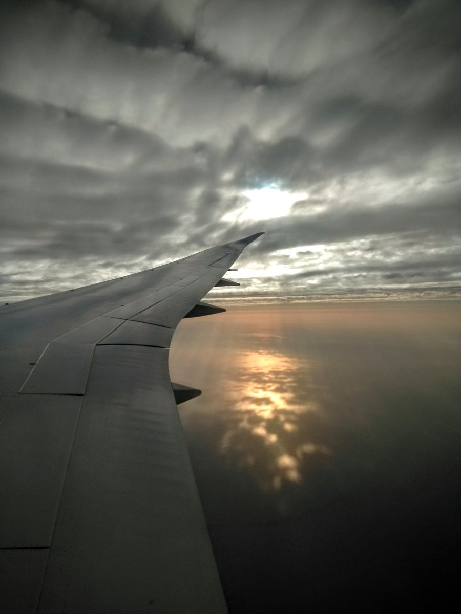 KironNeale's tweet photo. After 2 days of traveling I'm excited to be in Singapore as one of UNLEASH's 1,000 global top Talents to work on innovative solutions for the UN Sustainable Development Goals; such a blessing is truly humbling. #ThankYouLord  #UNLEASHLAB2018 #ArabianGulfQatar #Transit @ecioxford https://t.co/UhIK4jFyGO