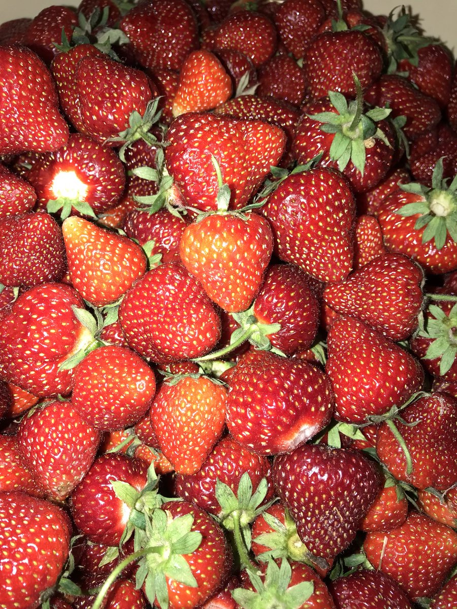 i0nut88's tweet photo. I ❤️ strawberries https://t.co/3piylEvMP7