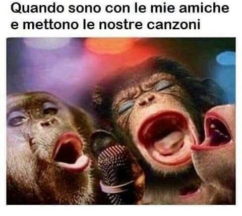 RagazzeDelBox31's tweet photo. #fun #friends #amiche #ragazze #Box31 #noi https://t.co/y9KYScBxAf