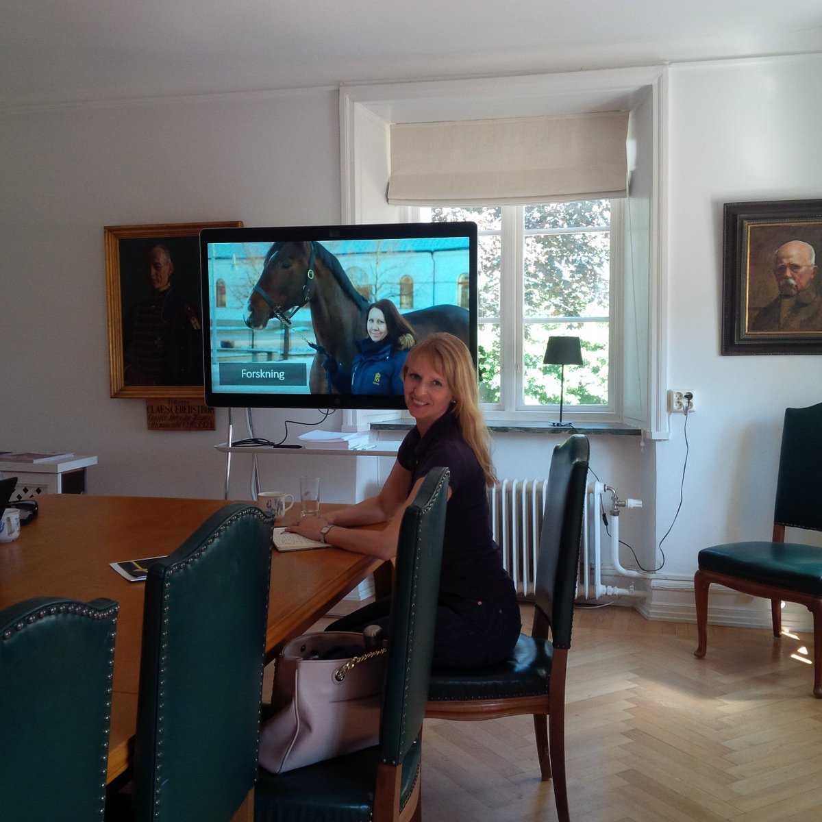 DrKendraCoulter's tweet photo. Where Swedish generals used to work. Today: female social scientists. #horses #horsewelfare #fieldwork #flyinge https://t.co/i2UIqjBR4l
