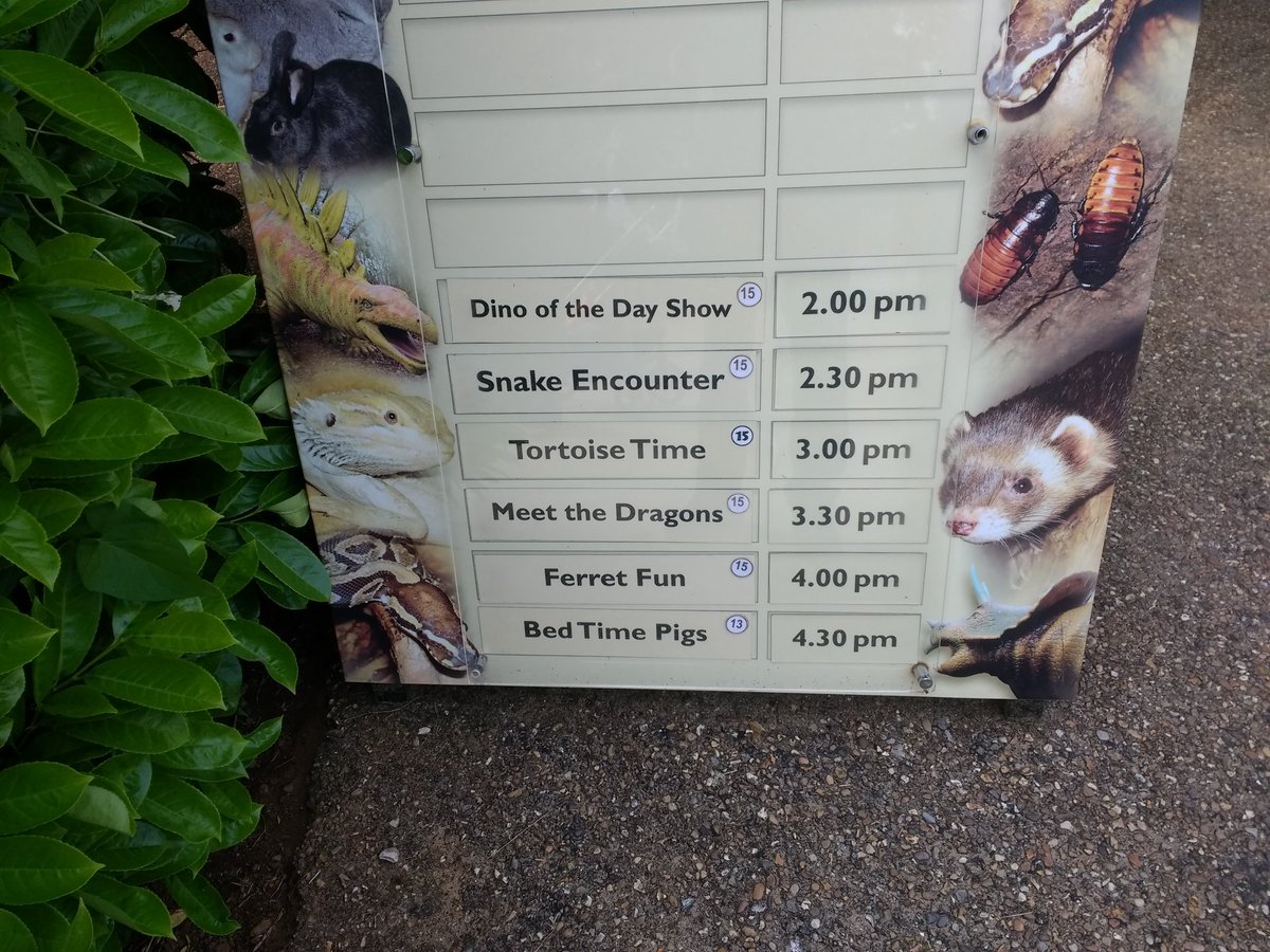 Collision49's tweet photo. Looks like a classic @DragonsCC tour itinerary. #MeetTheDragons #NoCricket #DOT https://t.co/vggjV2Jgba