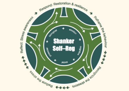 StuartShanker's tweet photo. Refreshing the basics. The Steps of the #ShankerMethod:
1️⃣ Reframe the behaviour
2️⃣ Recognize the stressors
3️⃣ Reduce the stress
4️⃣ Reflect: enhance stress awareness
5️⃣ Respond: develop personalized strategies to promote resilience & restoration https://t.co/KqMa5ryR08