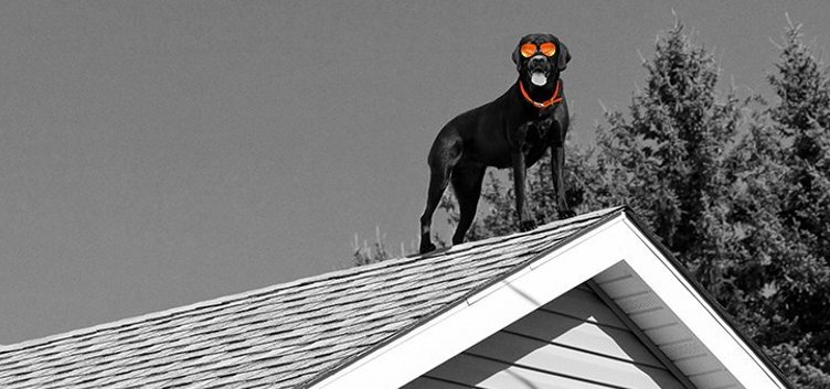 Ruckus Partners tweet media