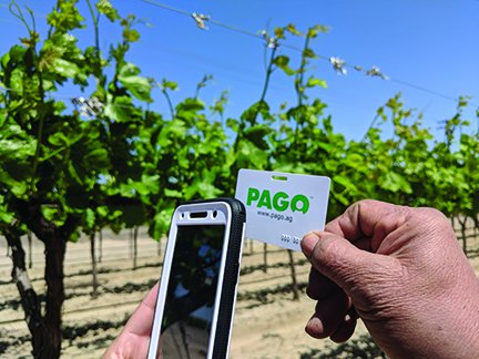 WesternGrowers's tweet photo. New #tech from @wg_cit #startup that allows growers to schedule crews, calculate time rate &amp; piece rate, and monitor crew activity in real time -- all on one app! https://t.co/pit3nNy9vn https://t.co/AjMpNRuy0K