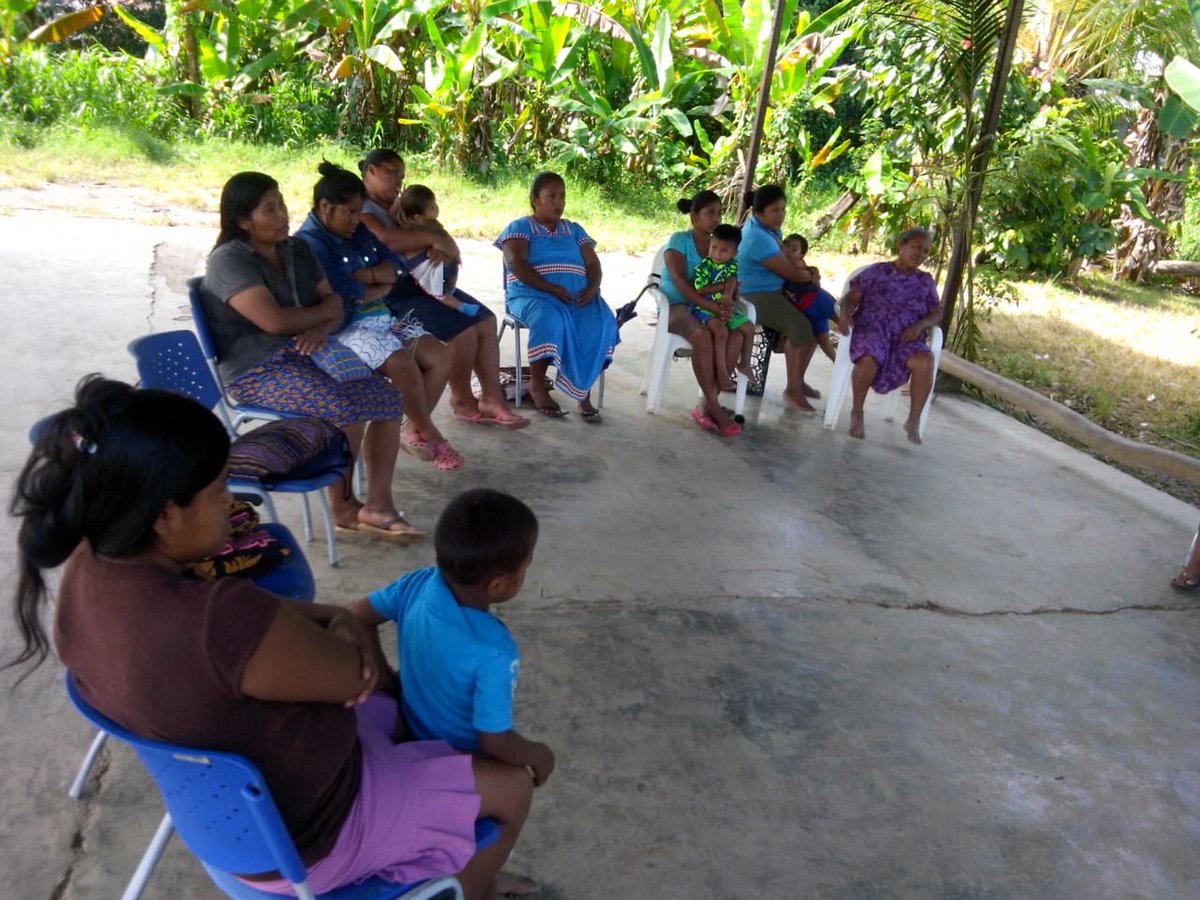 InadehOficial's tweet image. Sesenta moradoras de las comunidades de San San Puente y Theobroma en Changuinola se benefician de los cursos de Agricultura del INADEH que se imparten con el apoyo de @inamupanama y @MIDAPANAMA como parte del proyecto Formación Integral con Mujeres Organizadas.#UnMejorInadeh