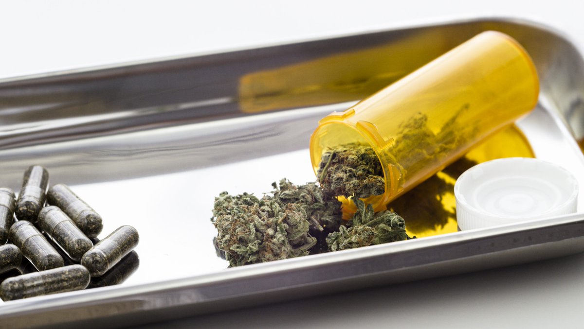 CityNewsVAN's tweet image. Employee drug plans might soon cover cannabis. SunLife Financial is going to be the first Canadian health insurer to cover medical marijuana. An advocacy group that says it’s a step in the right direction. bit.ly/2xo6d2I