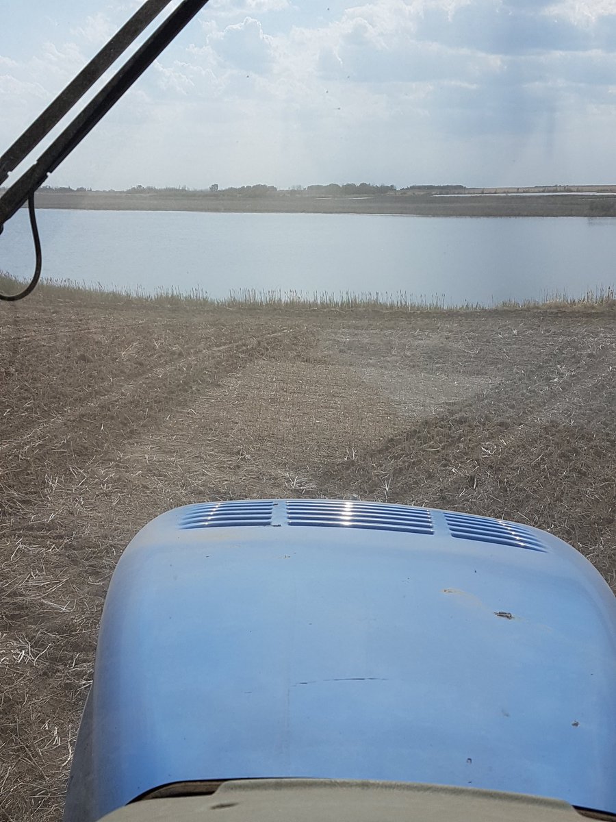 Riders2011's tweet image. The end of #plant18