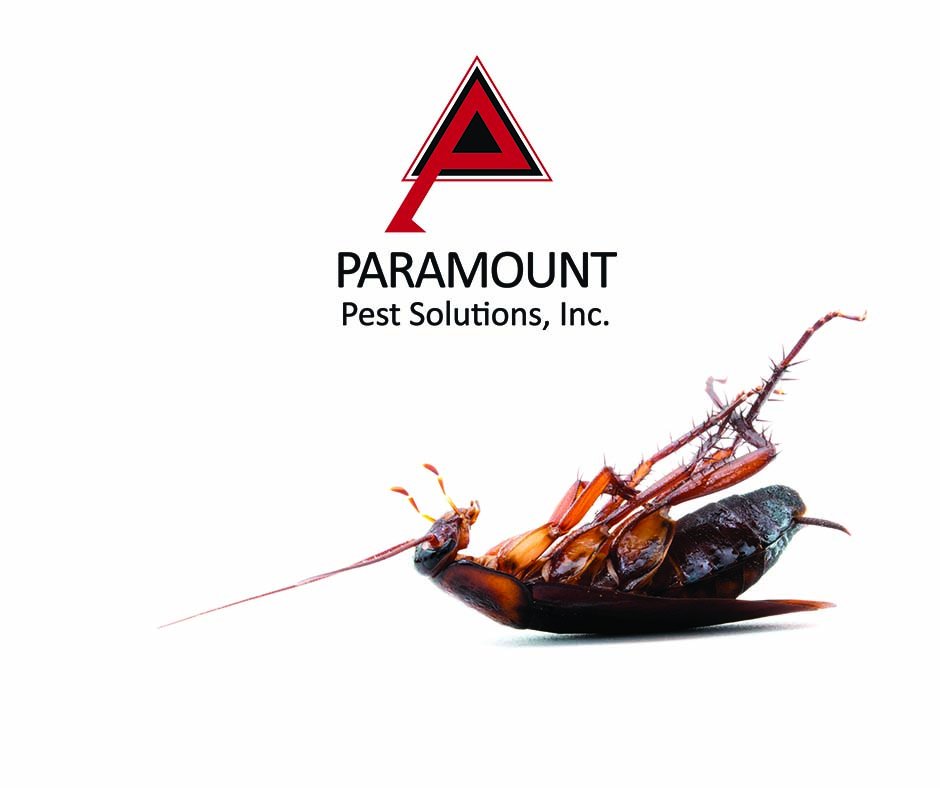paramountpestok's tweet image. Don&apos;t let unwelcome visitors keep you up all night. Call us at (405) 675-7757 and we will set you up on a custom plan of attack.  #okc #okcpestcontrol #pestcontrol #roaches #oklahoma