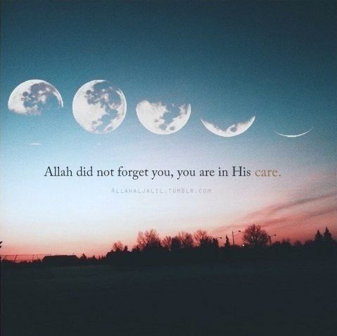 Islam and Life ⬇️⬇️⬇️ tweet media
