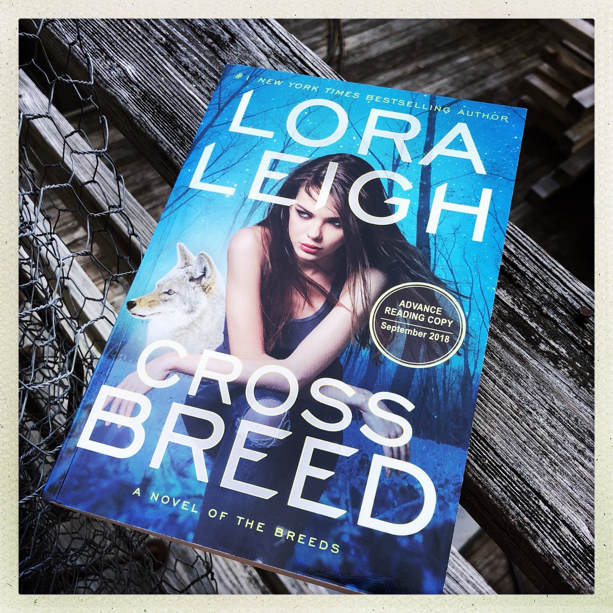 Did you feel the earth shake a bit? That was just me squeeing a crap ton. My year has been made. #CrossBreed #LoraLeigh #ARC