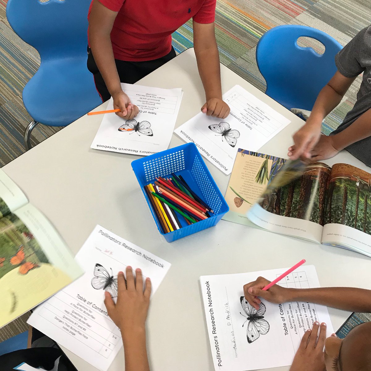 MolinaroAllison's tweet photo. 2nd graders finishing the year by learning about pollinators 🦋🌷🦋🌸🦋🌼🦋🌻@woesecond @WhiteOakElem @wcpsselemela @ELeducation https://t.co/iniEW0fxsp