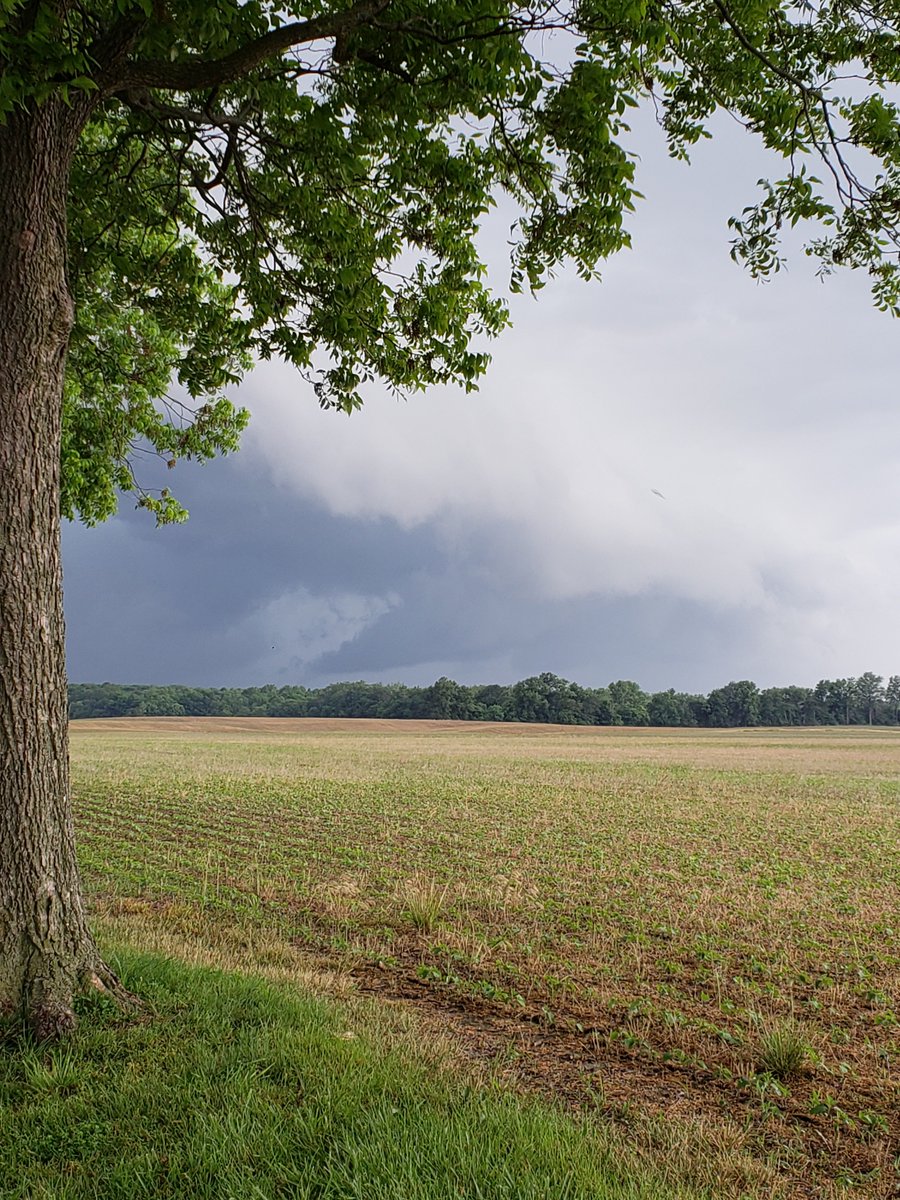 Uh-oh!!  #perrycountywx. #ilwx  @JRukavinaWPSD