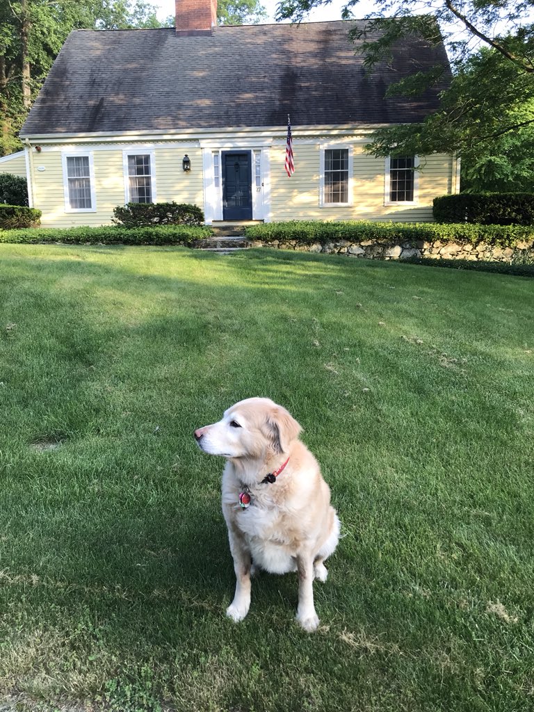 michaelmbegg's tweet photo. @greta Bailey send her prayers! https://t.co/bQCHcAVjbK
