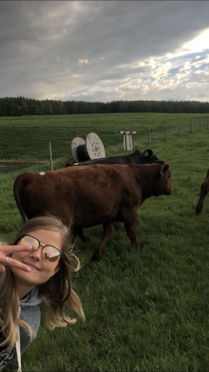 JRosadiuk's tweet image. Rolling with @ESTROTECT patches for another AI season.