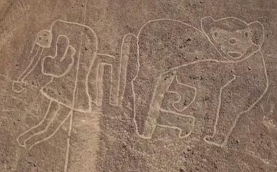 ナスカ近くで地上絵が25個も発見される 画風がユルすぎて疑問の声も フェイクに見える なかなかのセンス 笑 Togetter ナスカ近くで地上絵が25個も発見される 画風がユルすぎて疑問の声も フェイクに見える なかなかのセンス 笑 Togetter