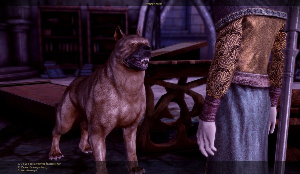 Dragon age origins dog