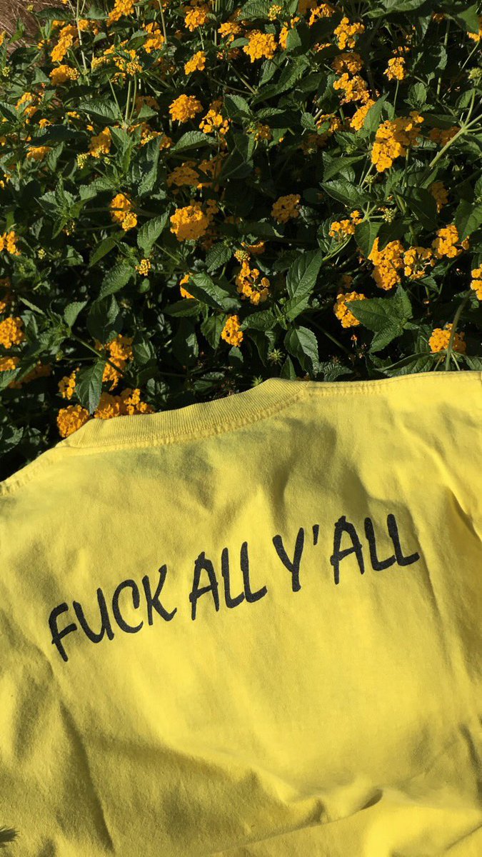 Vize Versa tweet media