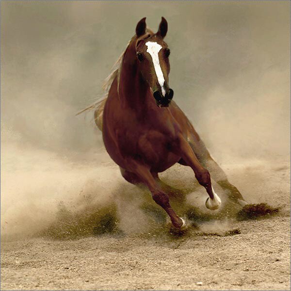 من اول لقى البعض وكأنك تعرفه من سنين
سبحان الذي وضح في المحياء القبول .🍃