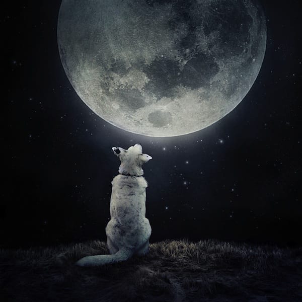 <a href="/como_angela/">💜💜Angelica💜💜</a> <a href="/Violet_Isak/">💜Anggie🖤</a> <a href="/halconavicencio/">🌹❤️ELENA MIRANDA V.❤️🌹#E̲l̲e̲M̲i̲r̲a̲n̲d̲a̲</a> <a href="/mymusicapmdaf/">A࿐ N࿐ D࿐ Y࿐🎶💓🎶 #MAJIX</a> <a href="/Sergio3712ok/">S € R G I O™ FRIENDS</a> <a href="/AraceliSalaiz/">Amunet</a> <a href="/MarceloMjrios/">🎰♠️ʍɑʀɔəɭʘ</a> <a href="/SiozaGabo/">Gabo 2 🇪🇨</a> <a href="/yelarvel/">*♋️Hecate♋️💞🌻🌷🌹💞</a> <a href="/mortizherrera51/">MƛƲƦƠ *🇨🇱</a> <a href="/JosOchoa16/">José Ochoa</a> <a href="/ElderAcost/">ELDER AC✪STA 📚23ʸʳˢ⚽️</a> <a href="/marinavibu609g/">🌻MARINA🌻</a> <a href="/Mercede19973600/">Mercedes Godoy</a> <a href="/ramses96fa/">ℝamsés 𝔽abrega 🇵🇦</a> <a href="/SUPERGOCHOo/">CÉSAR MOLINACH</a> <a href="/JuanSGE/">juan sebastian</a> <a href="/AyrtonGrange/">MB 👑 Ayrton 🔥</a> <a href="/alejandrator2/">#AlejandraTorARTE</a> <a href="/SoiiiEmmanuel/">Emmanuel Cai</a> <a href="/0_werewolf_0/">Amunet</a> <a href="/MaJaVi_/">♠️🎰҉M҉A҉R҉C҉E҉L҉O҉ ҉</a> <a href="/martalaury/">🇧🇷Mara Confiando Sempre em Deus..!🇧🇷</a> 🌙✨▬▬▬▬▬▬▬▬▬✨ #TAU 
┆┆┆┆┆
┆┆┆┆⭐
┆┆┆⭐
┆┊⭐
┆⭐
⭐
🌃
☆ BUENAS NOCHES✨✨
🌜#FeilzNocheTe Desea #TAU 🌛
#Feliz Sueño / good night
Dulces Sueños

#MartesDeGanarSeguidores 
#DaleRT 🔁❤
ÚNETE a ✳ #TAU✨

╰┄☆★✨ 💮✨★☆┄╮