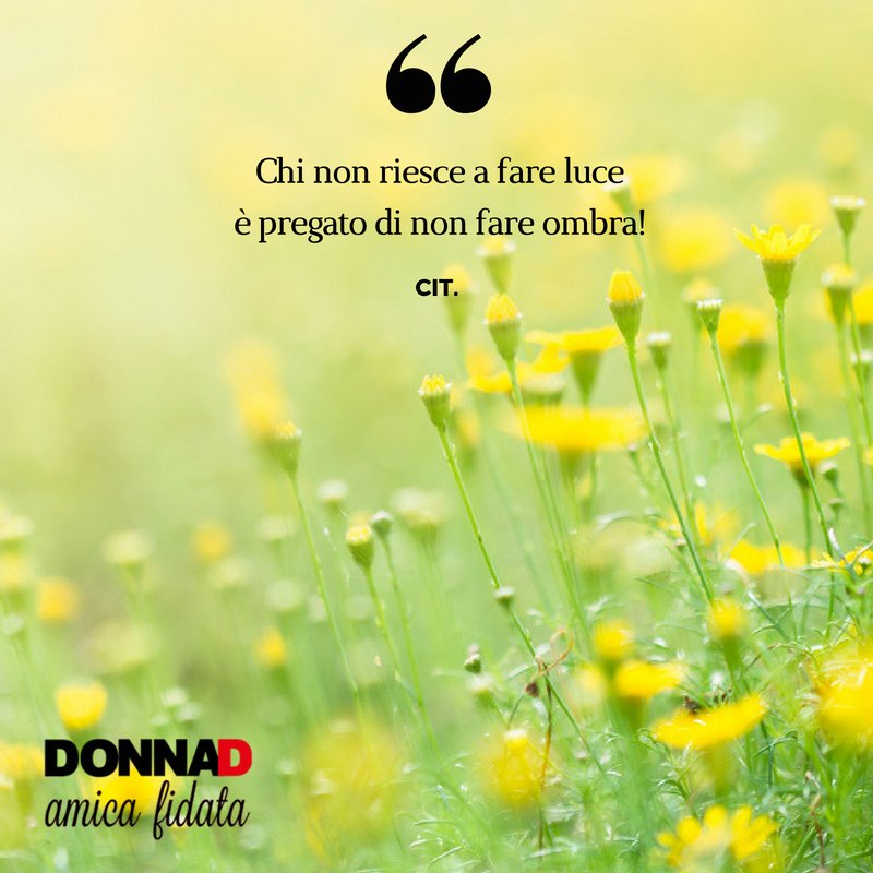DonnaD, amica fidata tweet media