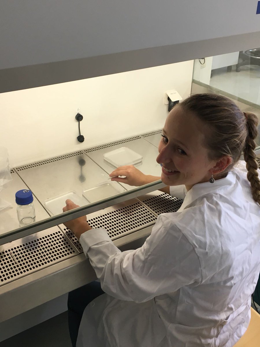 igemvienna's tweet image. Theresa @KleineVehnLab preparing the plant chasis for our Robocrops. Thx a lot Sascha (@KleineVehnLab)for your help! #robocrop #igem #igem2018 #igemvienna