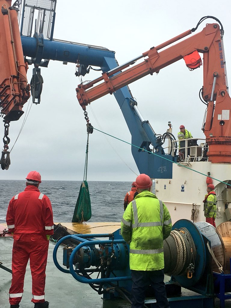 PAP_observatory's tweet photo. The benthic trawl has just been hauled up, let the sorting begin! So many sea cucumbers and deep sea goodies 🌊 #JC165 #benthictrawl #deepsea #research #PAPoftheday @NOCnews https://t.co/oYJeEdX5uf