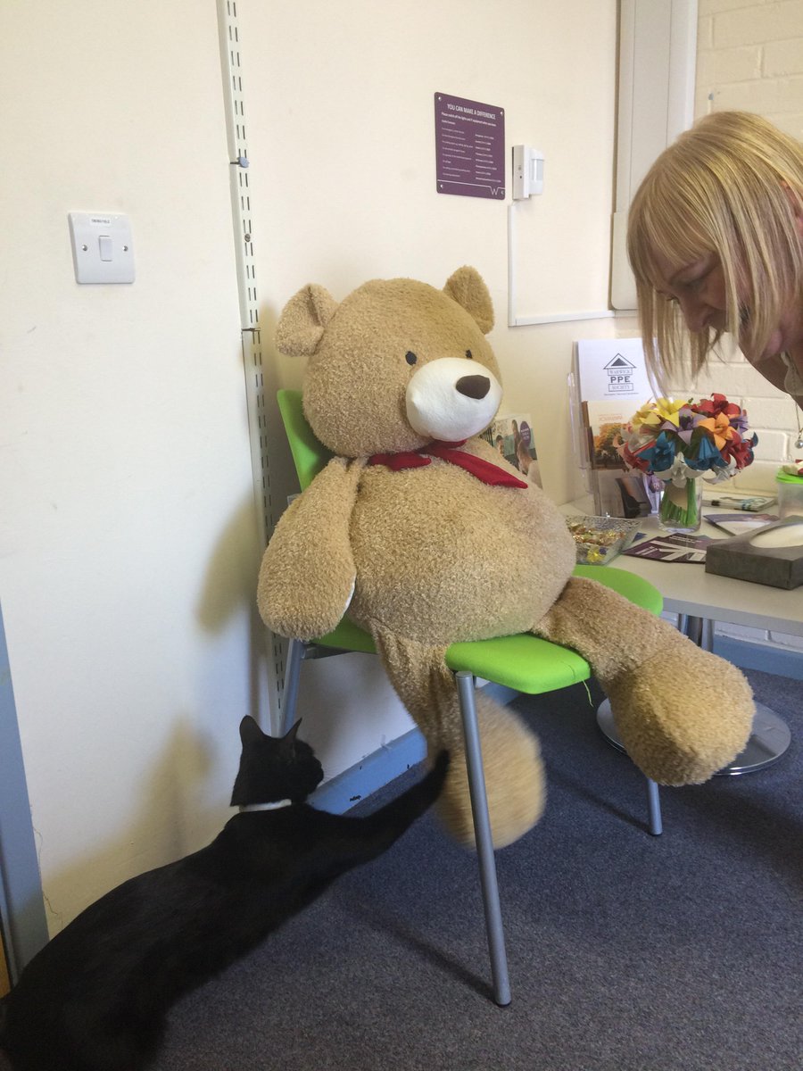 Nice to welcome <a href="/RolfatWarwick/">Rolf the University of Warwick Campus Cat</a> to the PPE Office this morning. A quick game with Karl Marx the PPE bear and he was back off on his travels.