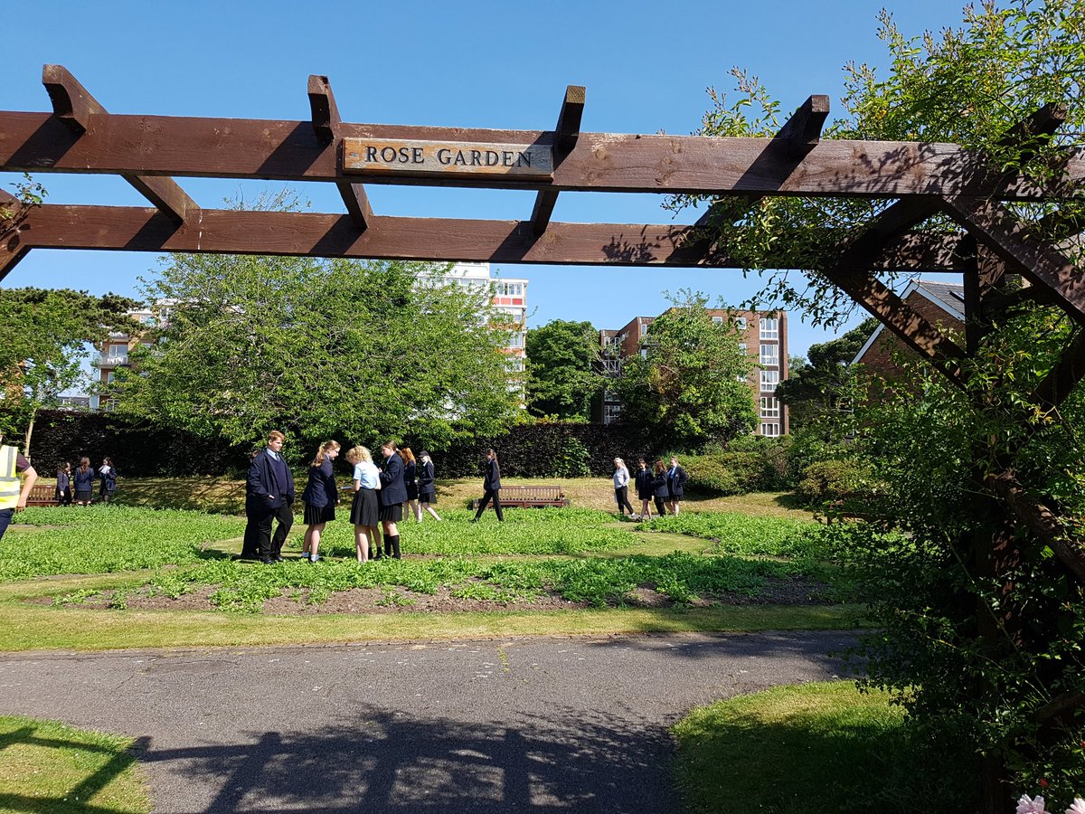 CEIAG_PHS's tweet photo. Sowing the seeds of ideas for Poole Park rose garden @poole_high #beauty #fragrant #phspassion @YE_Dorset @BoroughofPoole https://t.co/ZqJjpoDciA