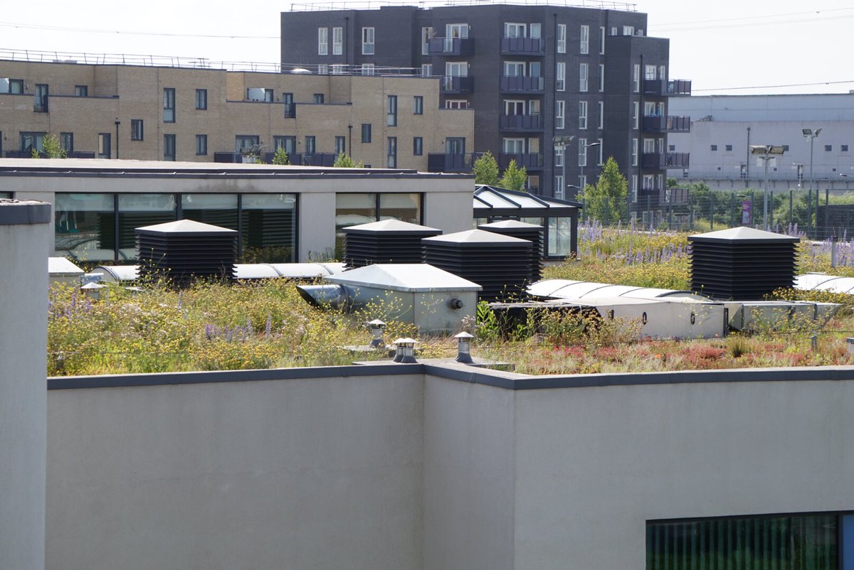 Riverside Garden tweet media