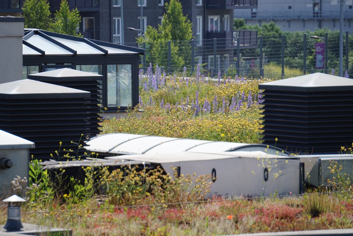 Riverside Garden tweet media