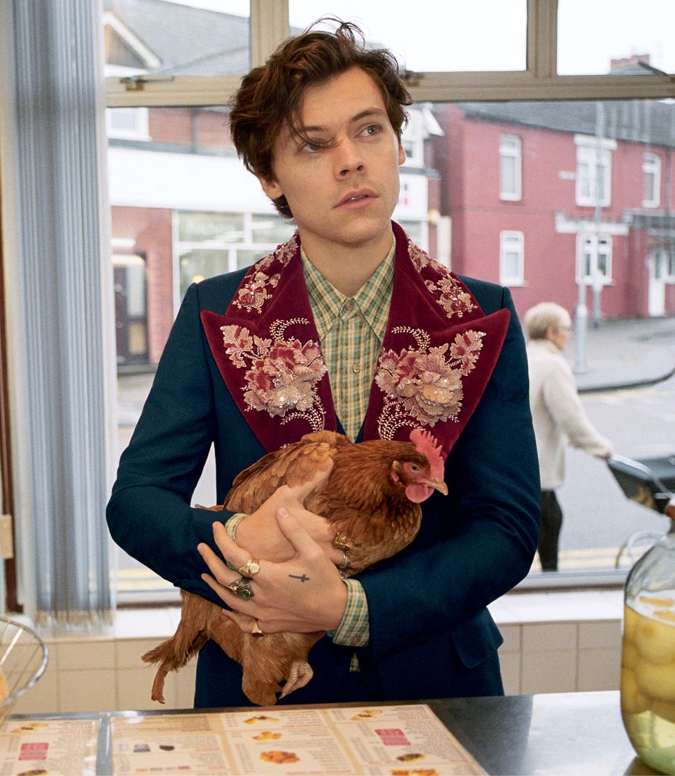 1DRockMeUpdates's tweet photo. these Harry Gucci pictures give me LIFE 🐔 https://t.co/8uFk2UsArl
