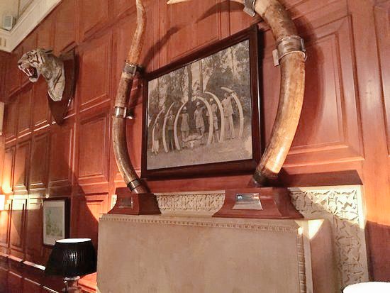 DevvartHada's tweet photo. SUMMER TIME HAPPINESS !!!
#TrophyBar #UmaidBhawanPalace #Jodhpur https://t.co/XODFy5WeyM