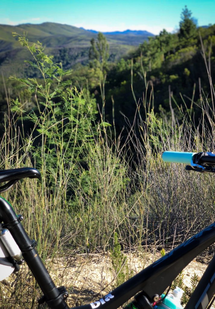 Views for days on these routes!What a treat!Wouldn’t you rather be here? 

Only 4 places left-get in touch
#heaven #ridelikeagirl #just4girls #spoils #Plett #outsideisfree #instacycling #ridelikeagirl #girlpower #cycling #naturelovers #explore #bikelife #cyclinglife #strongwomen