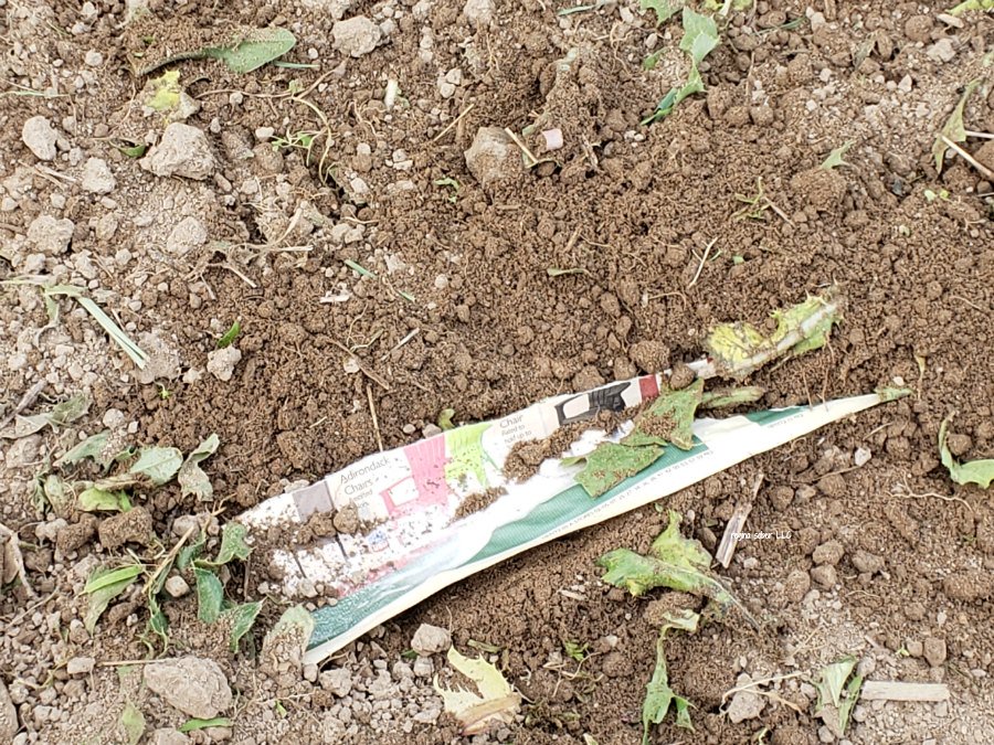 how to make seed strips for your #garden goo.gl/uxRZPm via <a href="/eattravellife/">Regina Sober | Eat Travel Life</a>