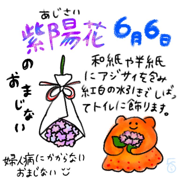 株式会社ごろごろ おばぁちゃんが教えてくれた 紫陽花のおまじないです 6 6に行うようです 紫陽花をトイレに逆さまに吊るします 1年間身体のおへそから下の婦人系の病気に効くおまじないです 6月6日 おまじない 紫陽花 メンダコ 婦人病 イラスト