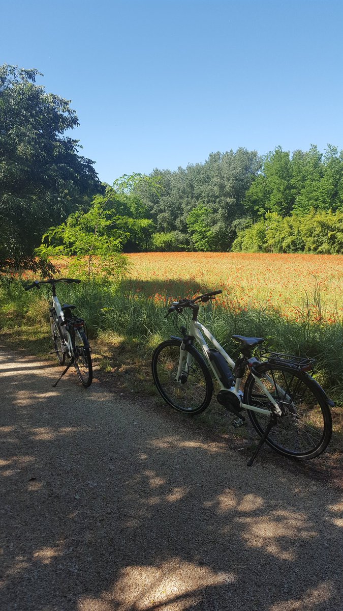 OnsEvade's tweet photo. En Ardèche découverte à vélo de la Via Rhona entre villages pittoresques, vignes et champs de coquelicots. @ArdecheGuide @ViaRhona @TourismeDraga https://t.co/e4GPI7nzA3