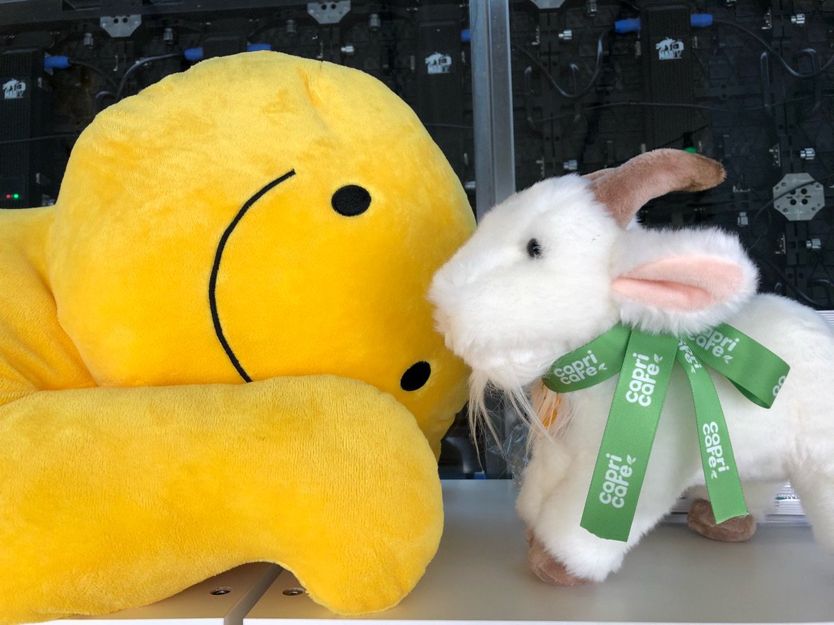 Lab_pediAct's tweet photo. Nos mascottes vous attendent sur notre stand au #efluent7, n'hésitez pas à venir les rencontrer ! #Capricare #Biogaia https://t.co/3f7crPW9QL