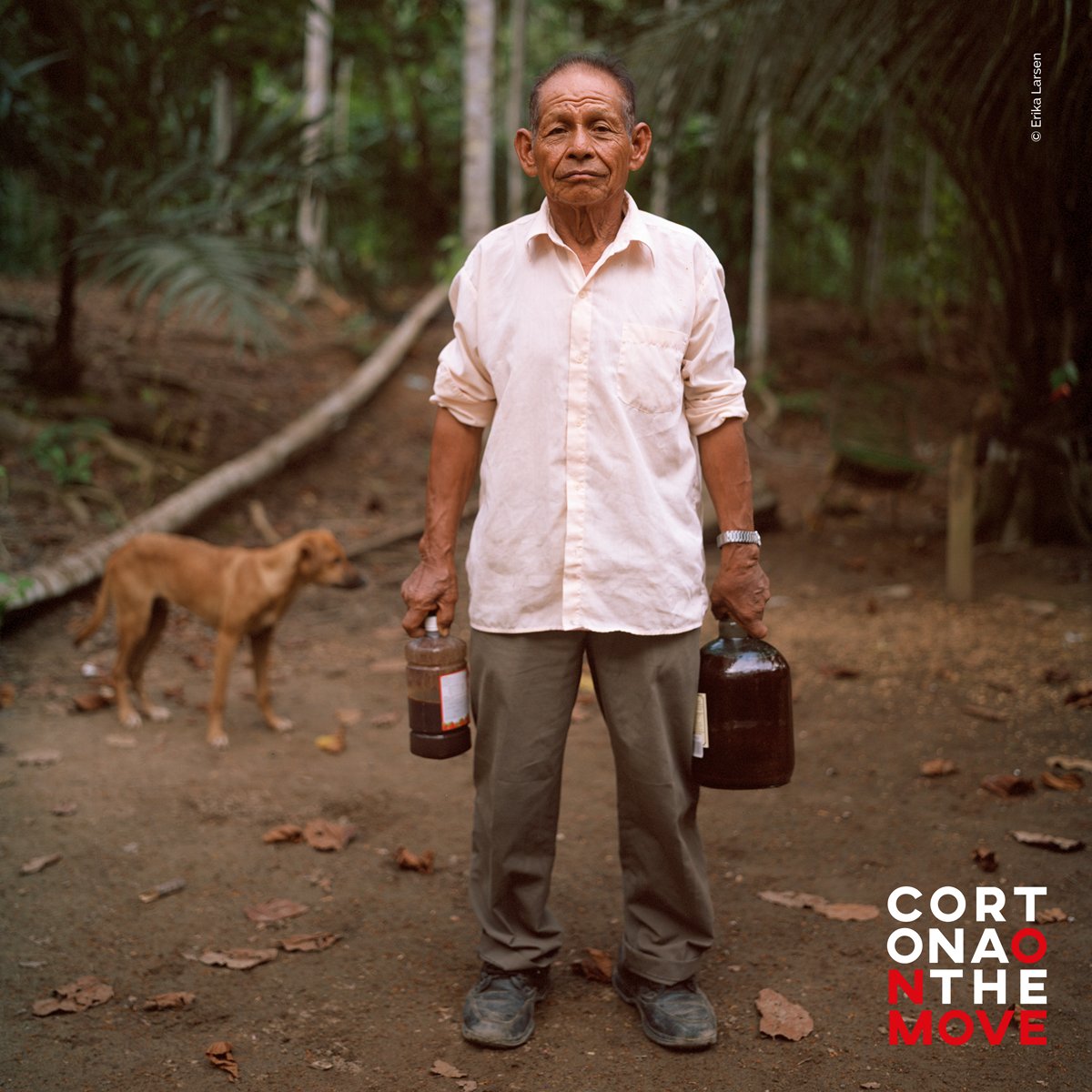 CortonaOTM's tweet image. &quot;Nature: Healing: Human&quot; by #ErikaLarsen is &quot;an ongoing exploration of the human connection to the natural world and the part nature plays in the healing process&quot; and is part of the Arena–Video and Beyond new section, with @CanonItaliaSpA  @screenprojects: goo.gl/VUUuWk