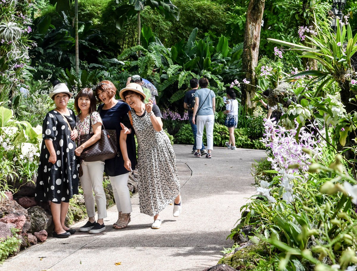 National Parks Board Twitterissa The Annual Singapore Botanic