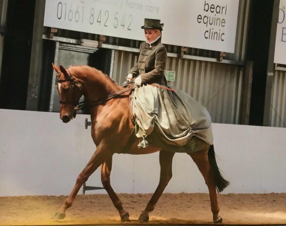 HolmsideHall's tweet photo. Ridden and Inhand show this Sunday 10th June. Entries on day. Full schedule can be found on our website https://t.co/TckgdTvB1g https://t.co/UpgLTkEaY2