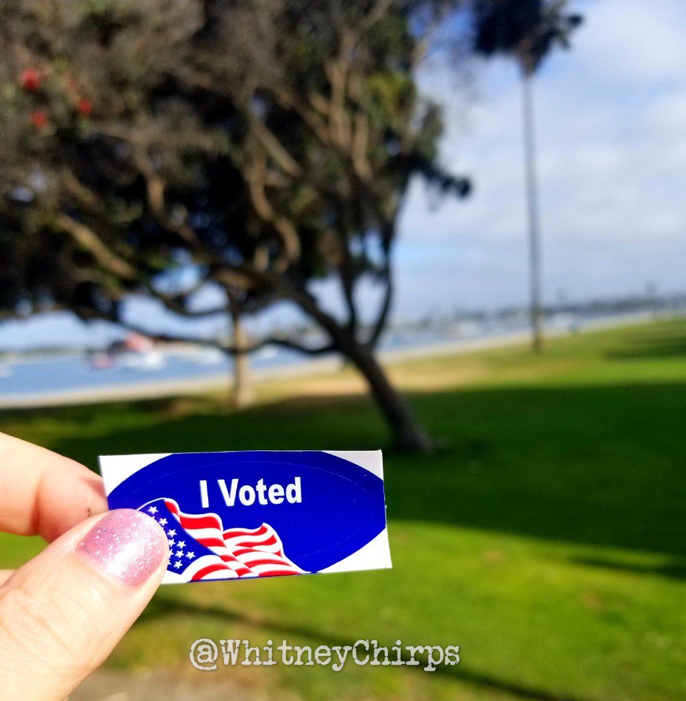 WhitneyChirps's tweet photo. I'll never throw my hands up &amp; stop fighting for what I believe is best for #CaliforniaPrimary2018 , just as I never turned my back on @realDonaldTrump ! Doing what's best isn't always popular, &amp; I'm OK with that!
#MCGA #California #CaliforniaCounts #maga #MAGA2018 #ElectionDay https://t.co/gjCn6OcSbi