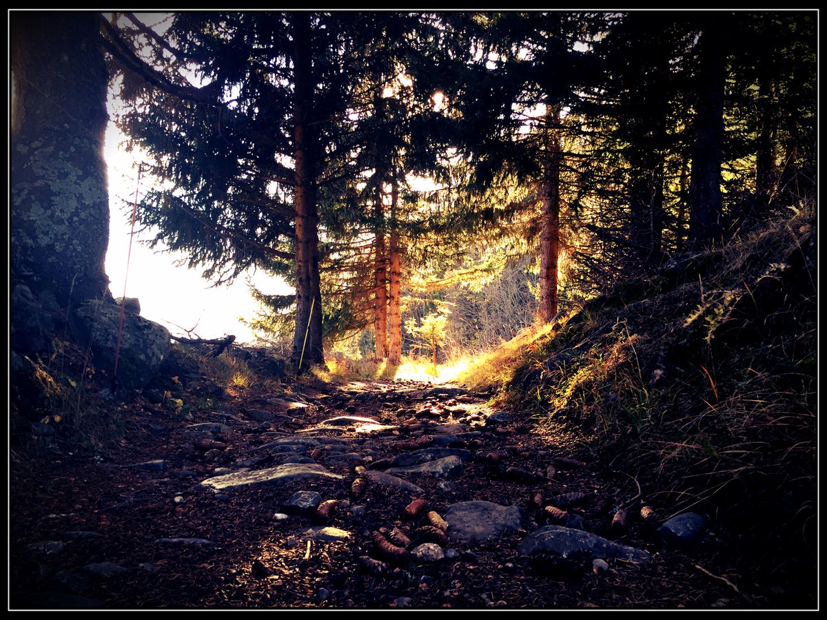 Welcome to Global Running Day!  We're doing our part, empowering gym goers on their wellness journeys with #RunTV.  Last month alone, RunTV viewers ran 292,851 kilometres of interactive running workouts - or more than 7 times around the world!  #wellness #running #streamingmedia